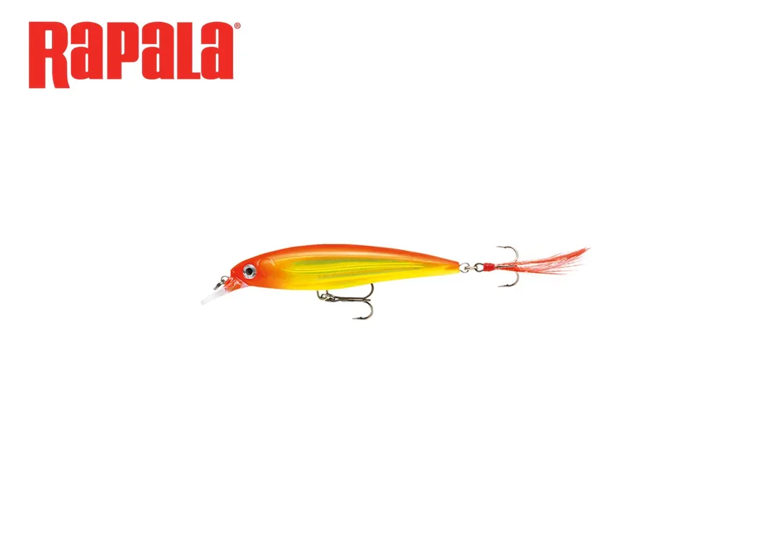 charliesfishing405808