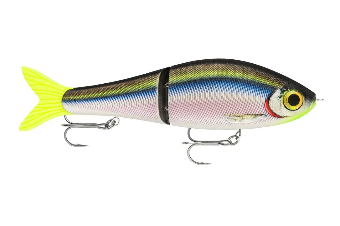charliesfishing406275