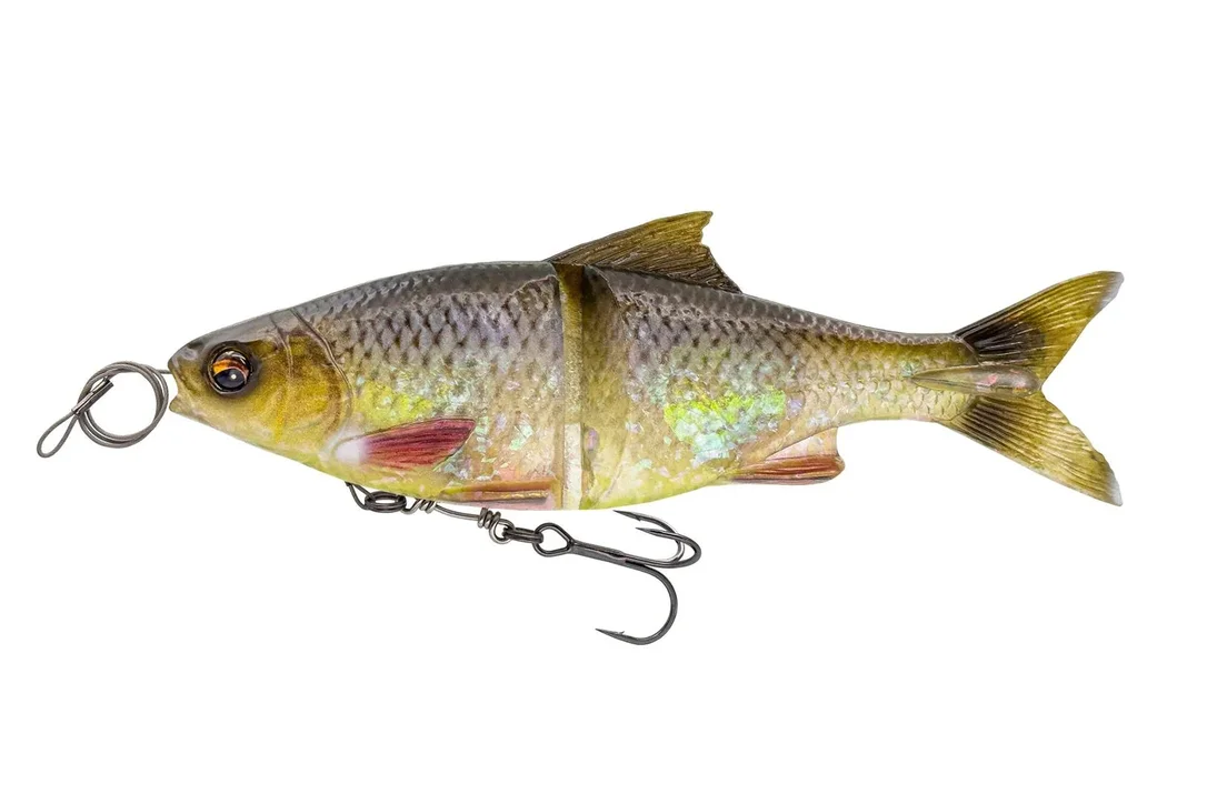 charliesfishing408173
