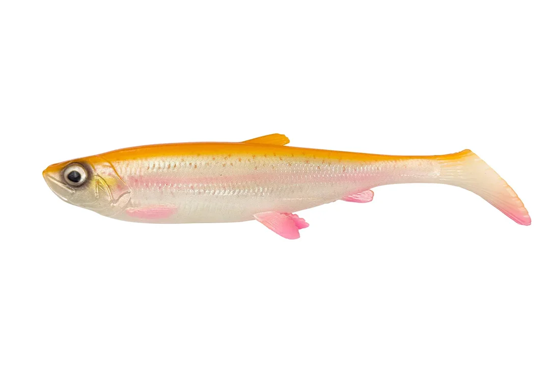 charliesfishing408523