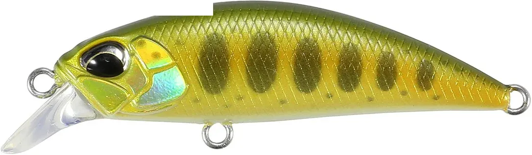 franz-geht-fischen358846