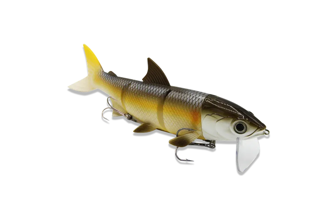 franz-geht-fischen367616