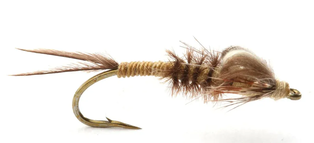 franz-geht-fischen369302