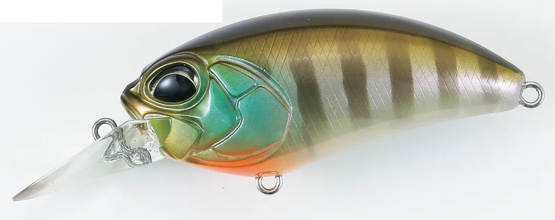 franz-geht-fischen370675