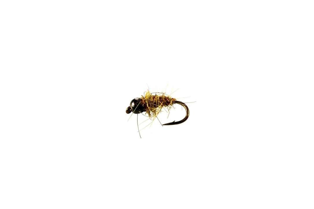 funfish378073