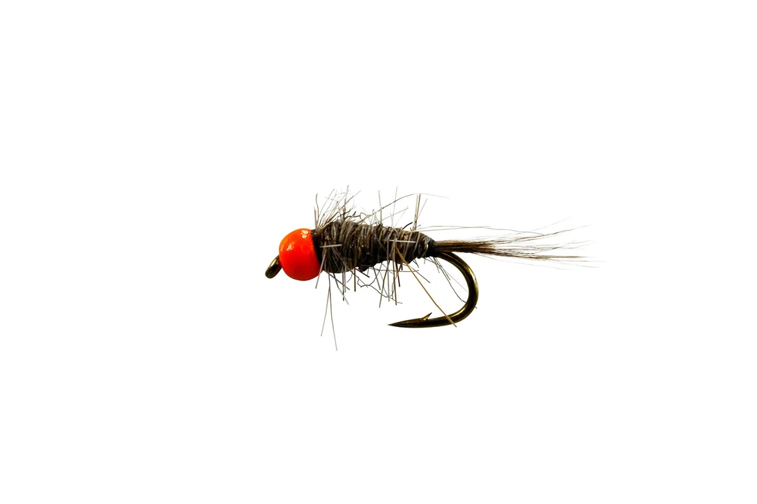 funfish378098