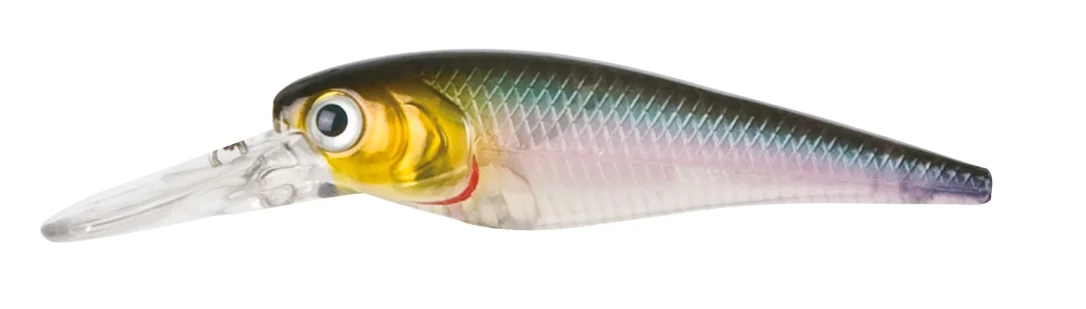 funfish379297