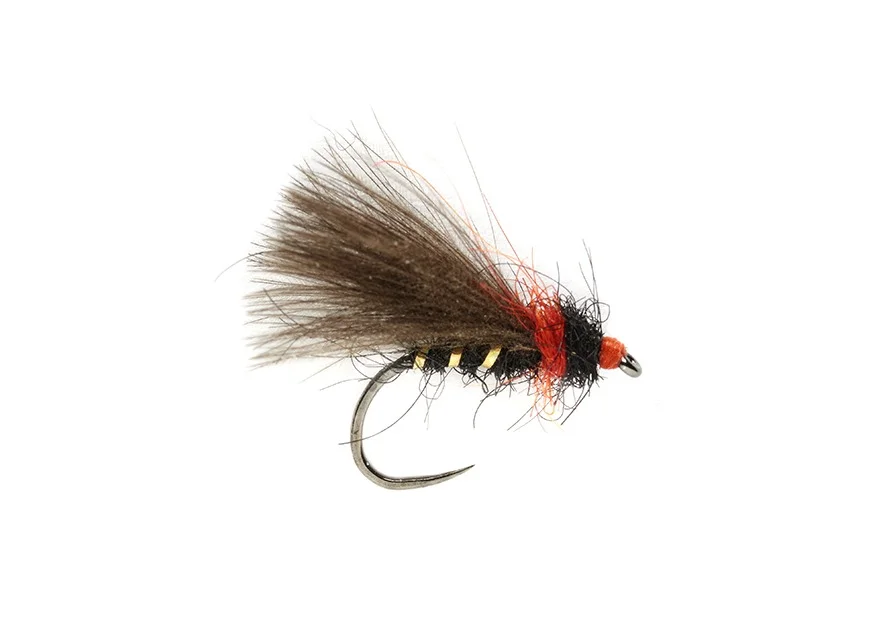 funfish380981