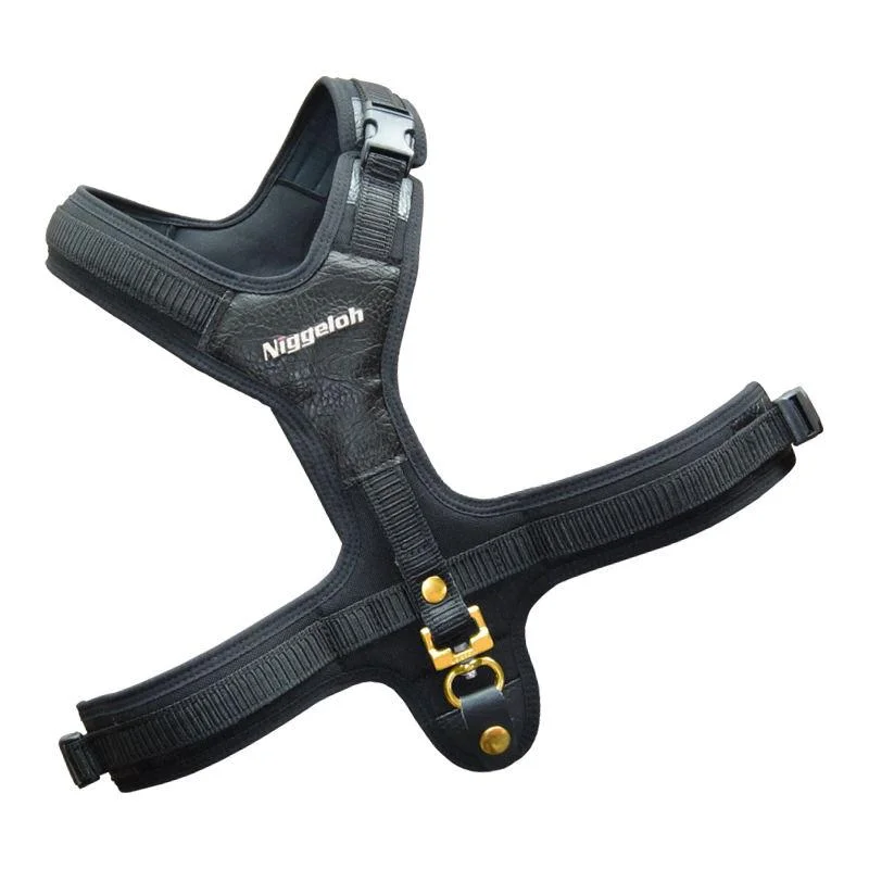hauptner-jagd393391