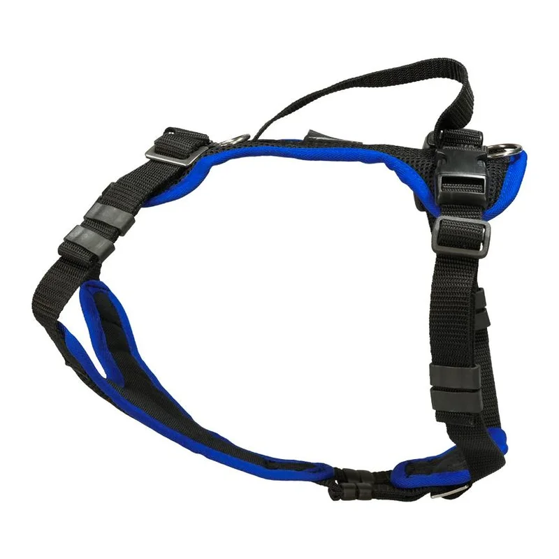 hauptner-jagd396223