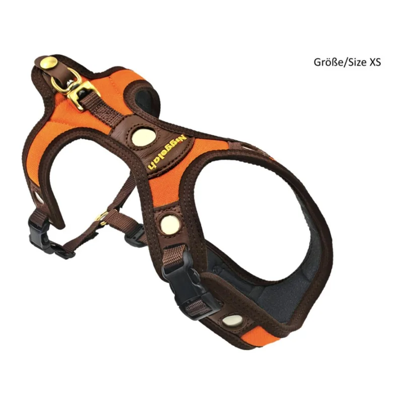 hauptner-jagd434832