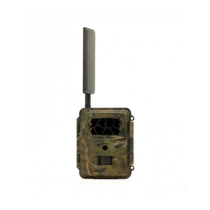 hauptner-jagd447490