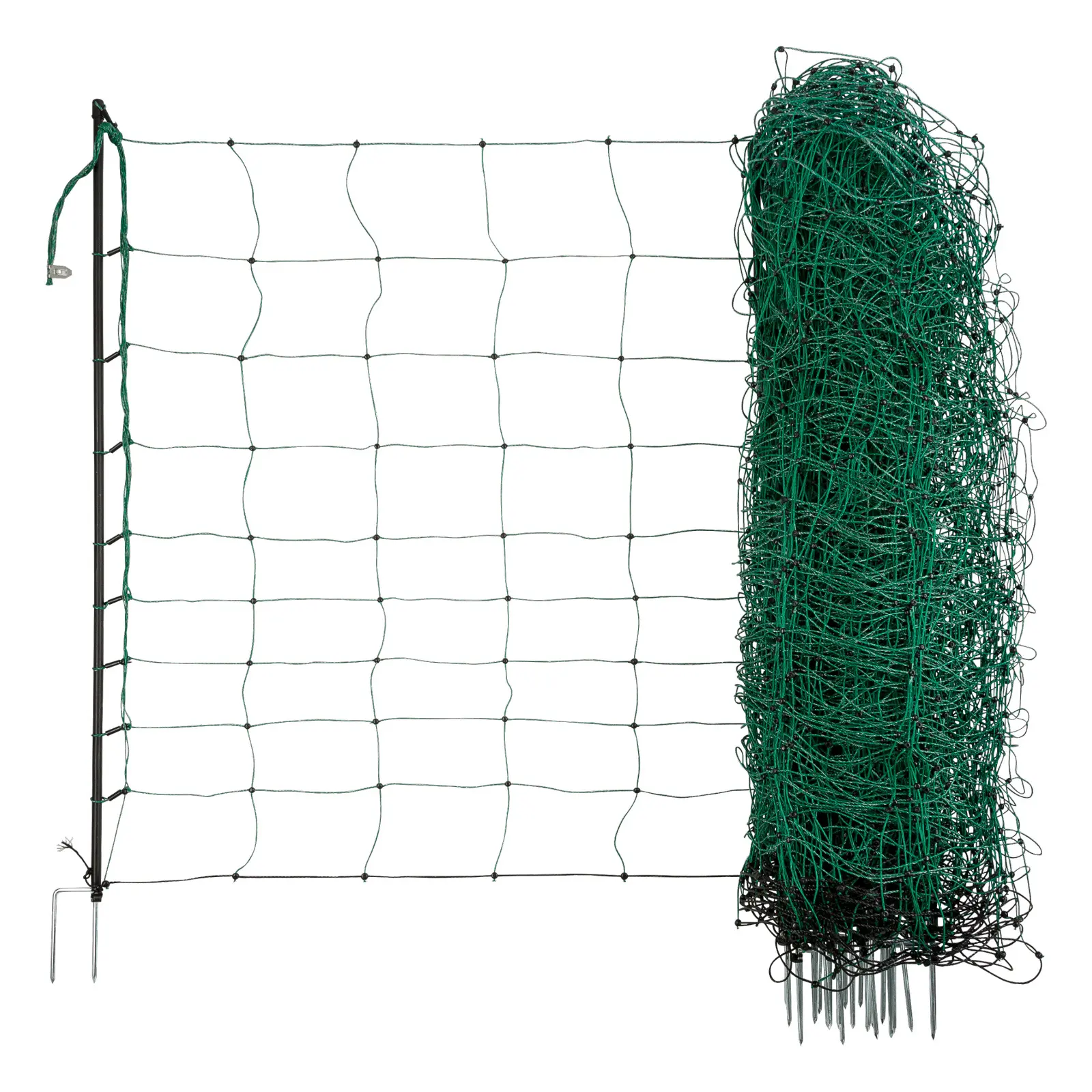 sportisgood1650658
