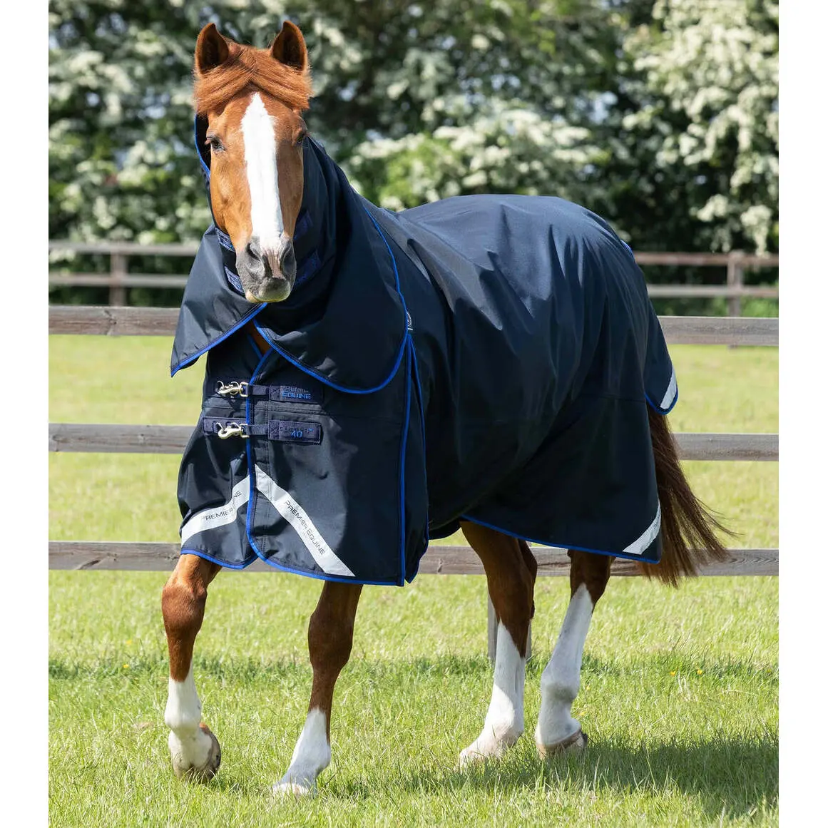 sportisgood389086
