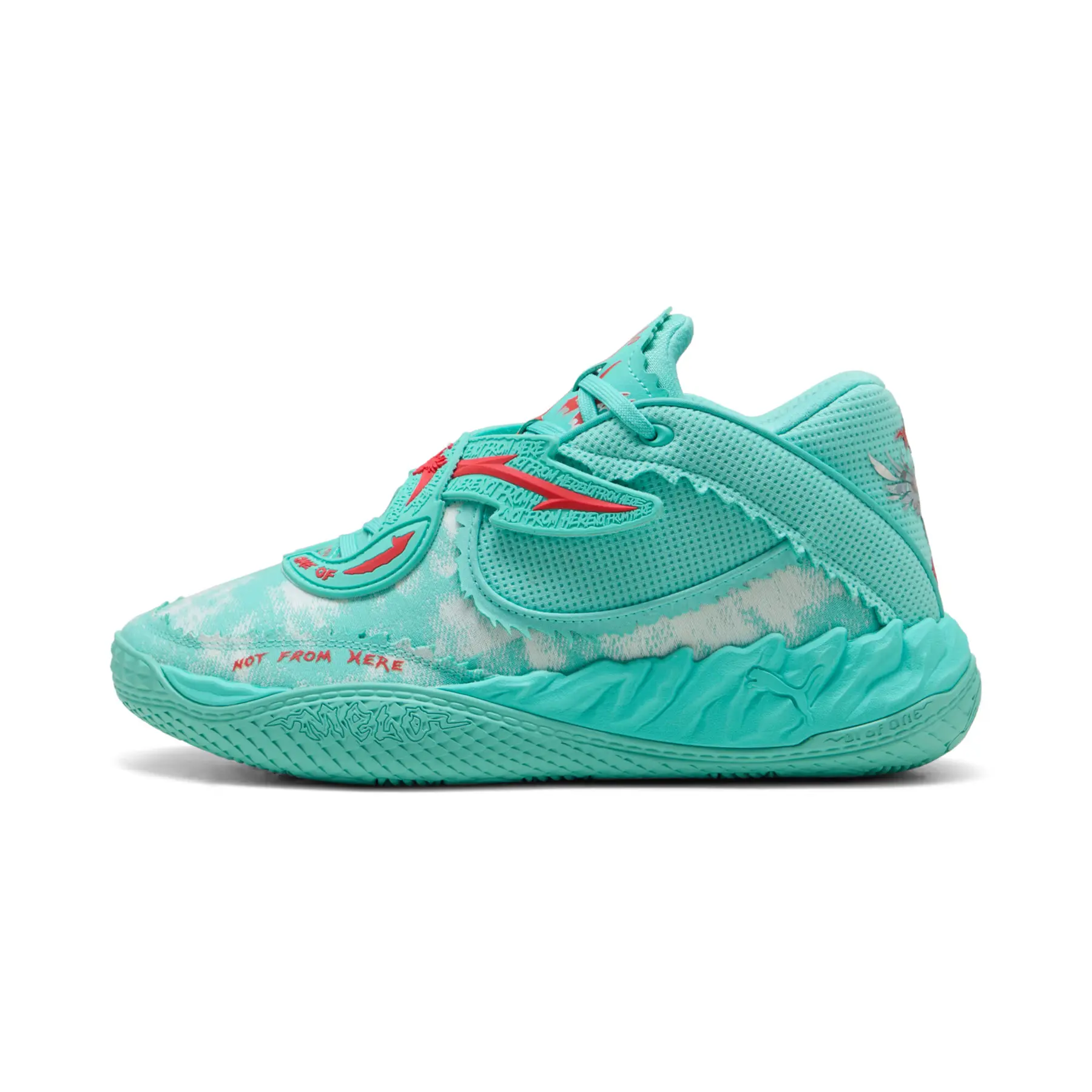 sportisgood406710