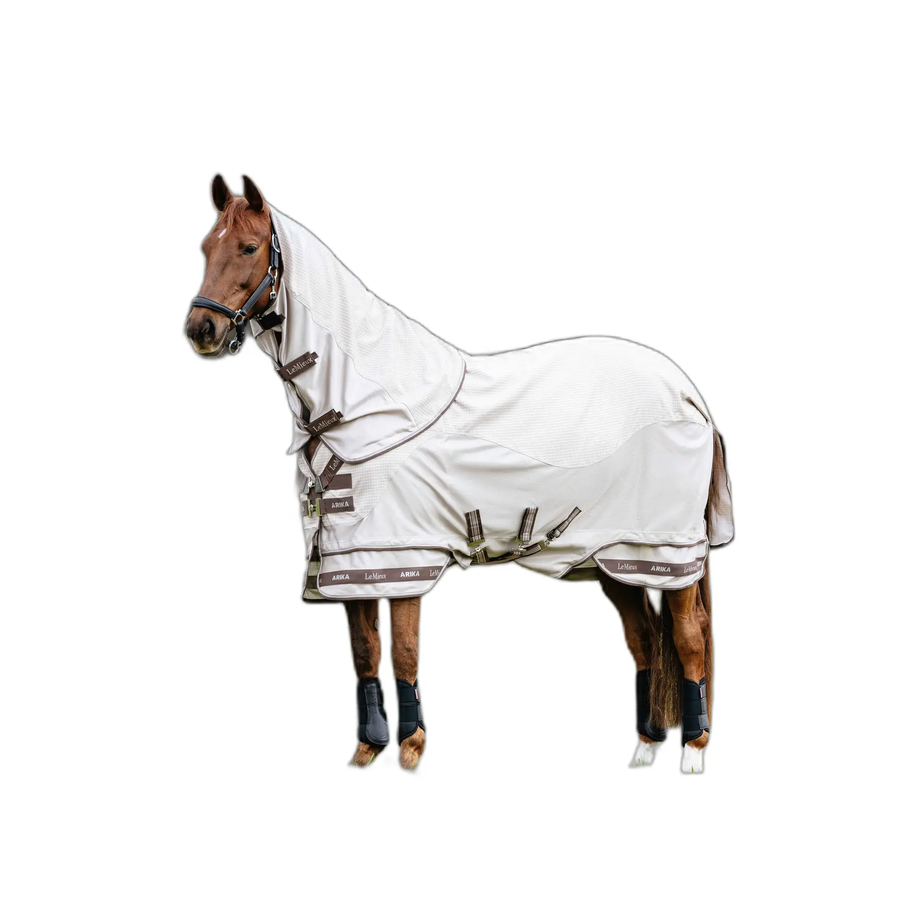 sportisgood418864