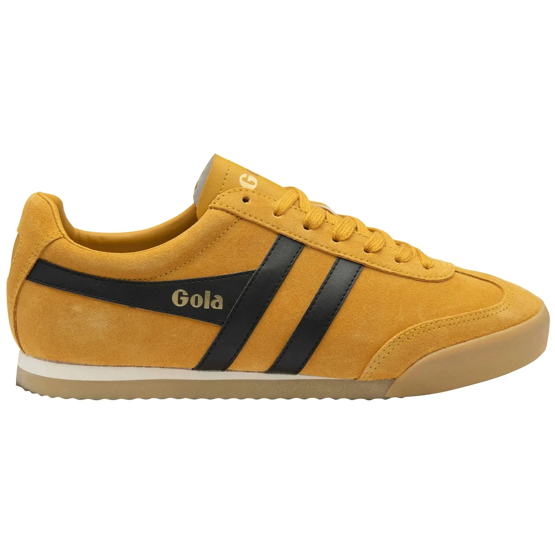 sportisgood441592