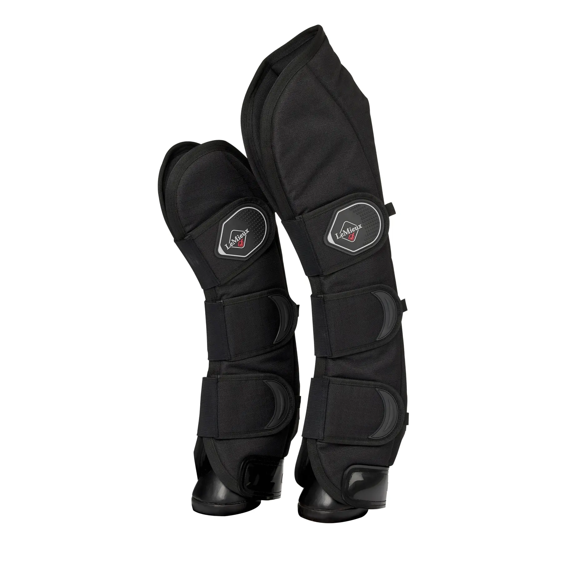 sportisgood501505