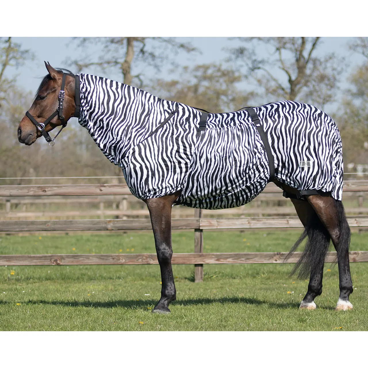 sportisgood509686