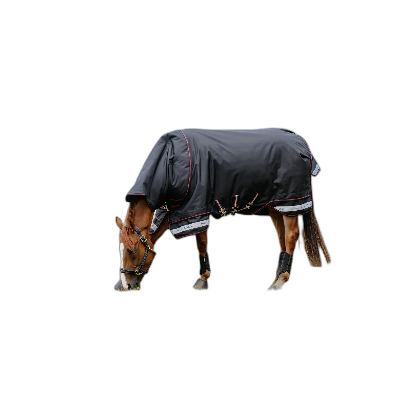 sportisgood530967