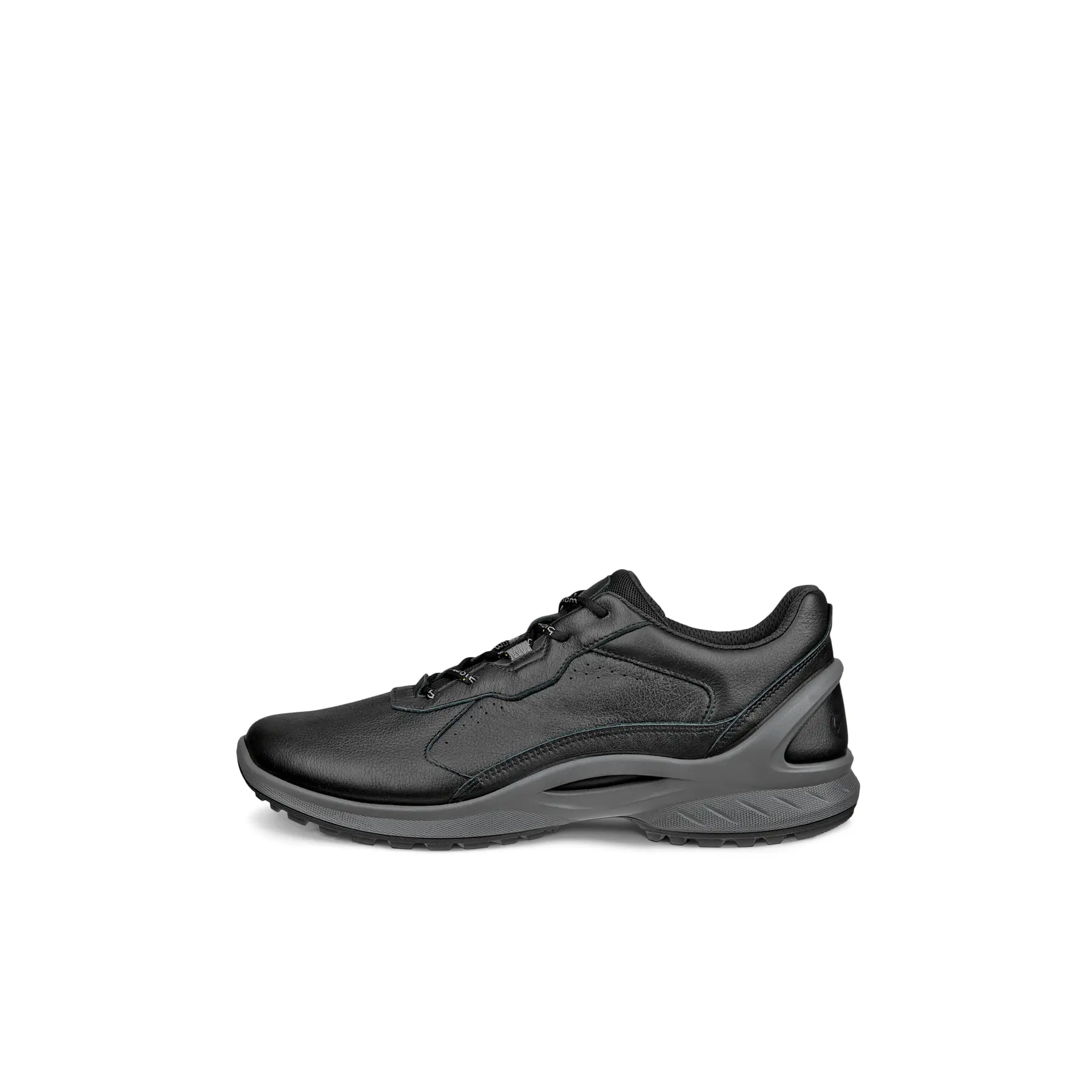 sportisgood550820