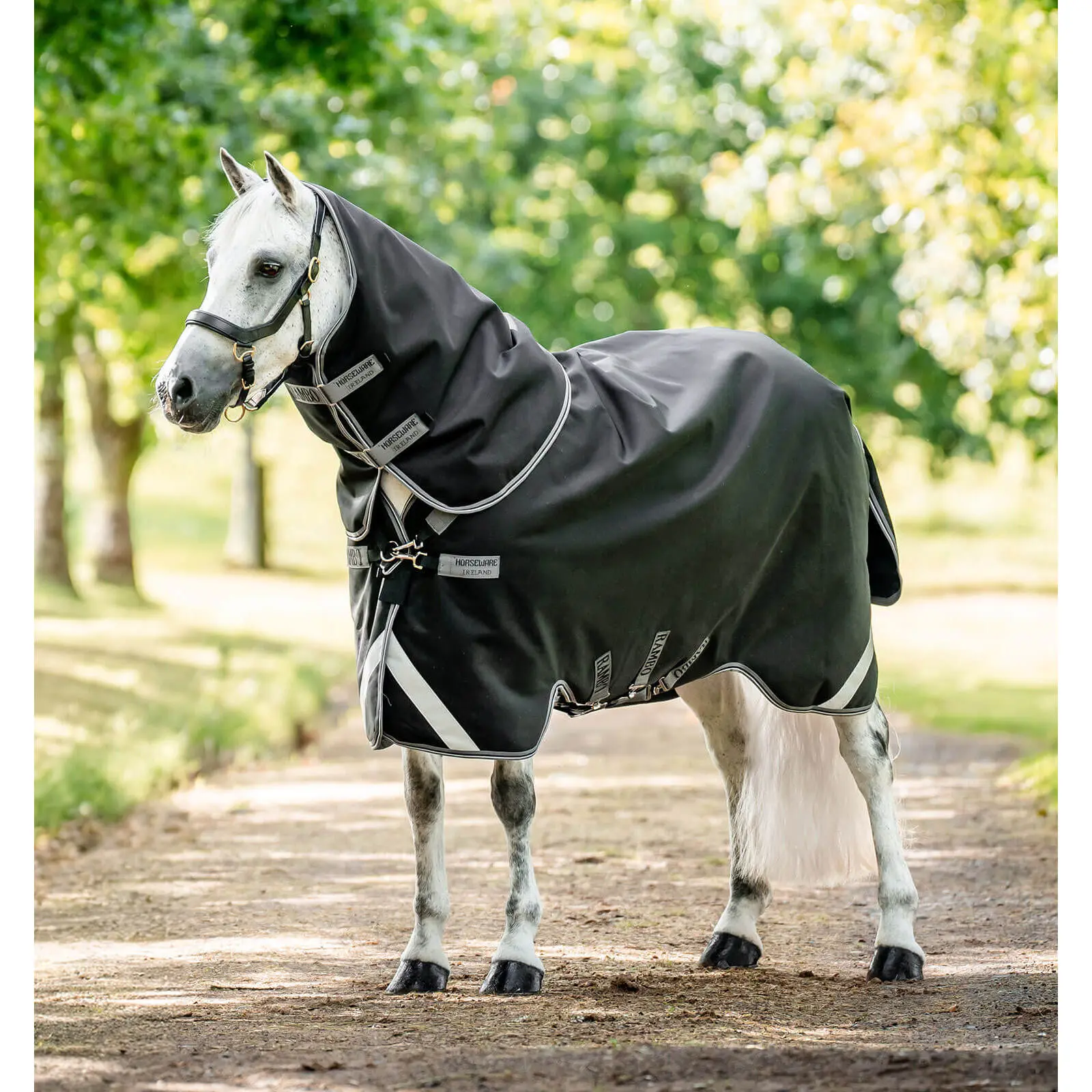 sportisgood643105