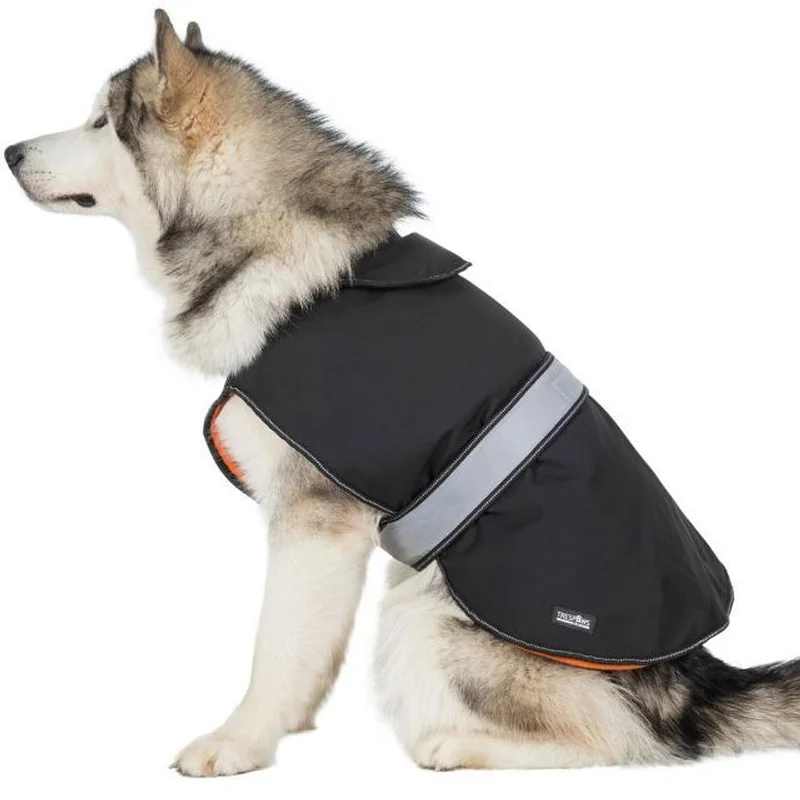 surfdeal489256