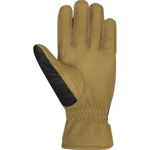 trek-expert459781